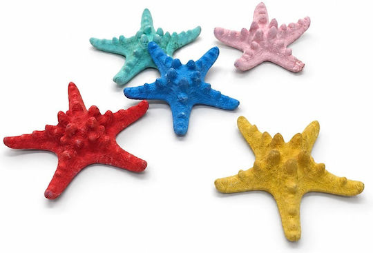 Set 5 Pieces Natural Dried Colored Starfish 8-10cm