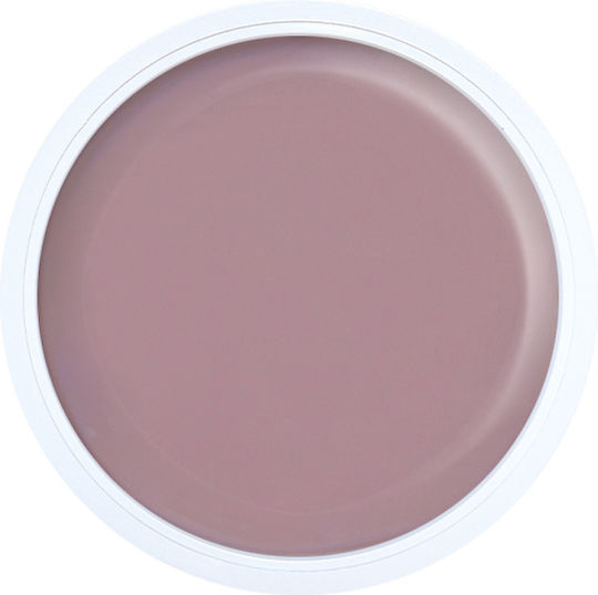 Alezori Acrygel Nail Vintage Velvet 15ml 30gr