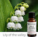 Duft Für Kerze Seife 250ml Lily Valley