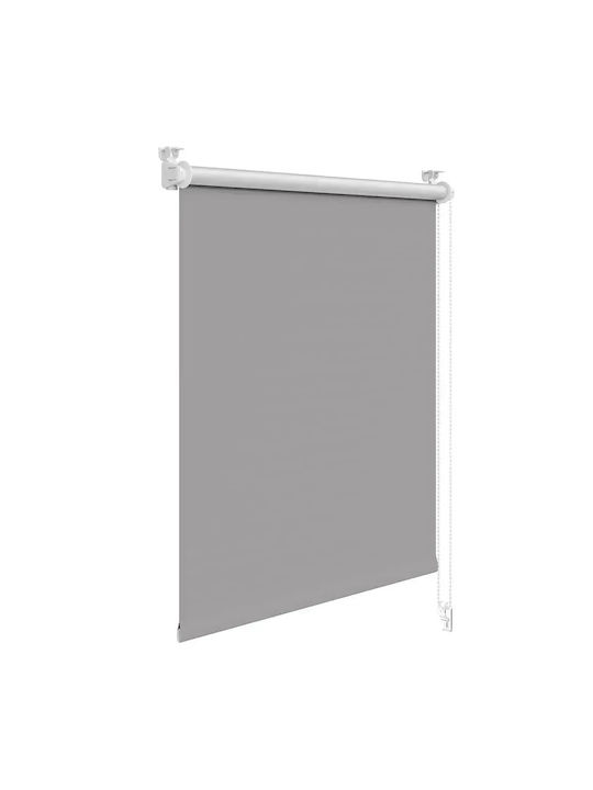 Woltu Woltu Rollos Verdunkelung Grau P60xH160cm