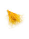 Dried Stipa Feather Grass Stipa Pennata Ginger