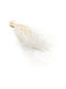 Dried Stipa Feather Grass Stipa Pennata Bleached