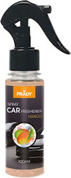 Prady Dezodorant Spray Auto Man 100ml Prady Dezodorant Spray Auto Man 100ml