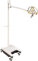 Easywell Medical Lamp 25256-02