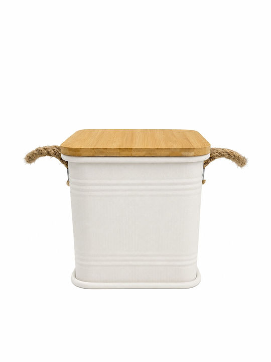 Metallic Storage Box with Lid Beige 26x26x26cm