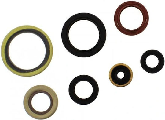 Engine Seal Kit Gas Gas Ktm Husqvarna 250/300 2017-2023