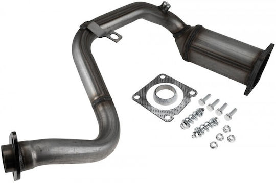 NTY Καταλύτης για Citroen / Peugeot