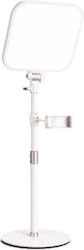 SPV with Extension Arm SPV-T548-FJK