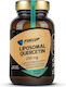 Fuel Up Quercetin Lipozomal 250 mg 60 capsule pe bază de plante