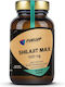 Fuel Up Extract de Shilajit Max 500 mg 60 capsule pe bază de plante