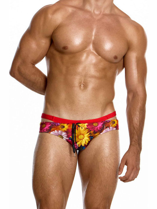 Modus Vivendi