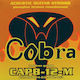 Cobra Magazin Online Corzi Phosphor Bronze Pentru Chitară Acustică 16"