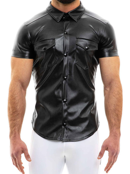 Modus Vivendi