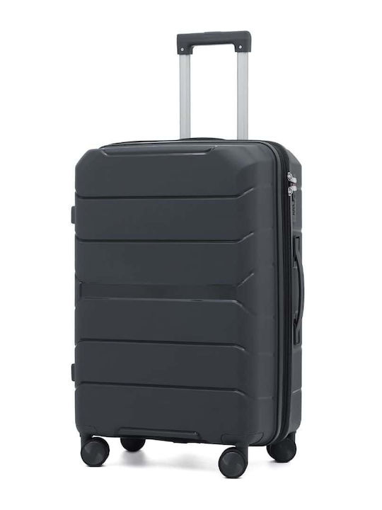 Sunshine Large Gray Suitcase Sunshine Large Gray Suitcase