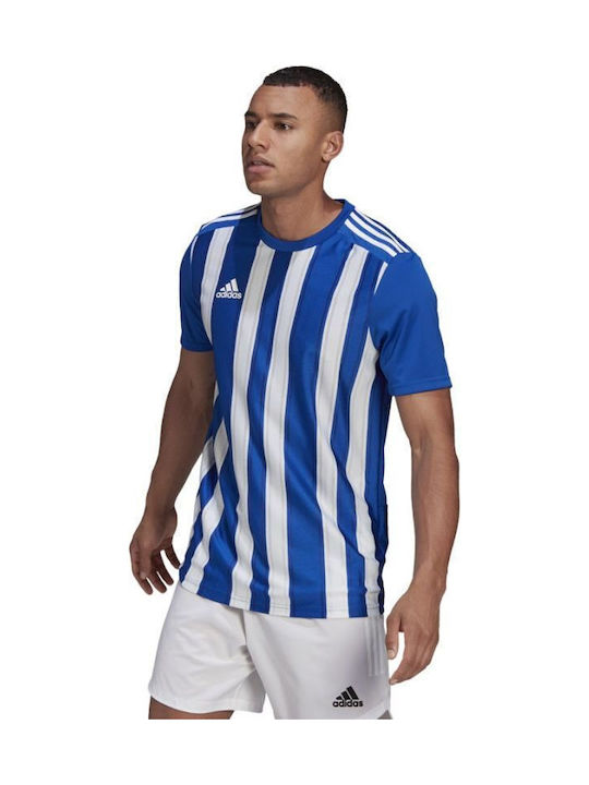 adidas Gestreiftes 21 Jsy M Gh7321 T-Shirt Weiß Blau