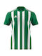 Adidas Striped 21 Jsy T-shirt M H35644 White Green