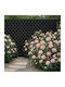 Garten-Spalier in Schwarz Farbe 240x120cm