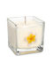Yogi & Yogini Lumânare Aromatică cu Miros de Lemn de Santal 6x6cm