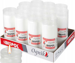 Bispol Wp6 Filled Firelight Insert 14 Pcs