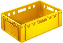 Container din Plastic