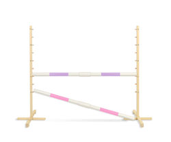 Super Hobby Horse Game