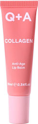 Q+A Natural Skincare Lip Balm Collagen Tinted Lip Balm 10ml Q+A Natural Skincare Lip Balm Collagen Tinted Lip Balm 10ml