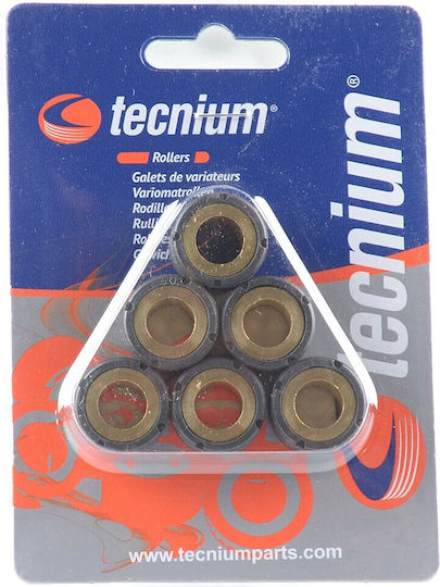 Vicma Tecnium Replacement Variator Rollers 16x13mm 5g 6 Pcs Model 3918