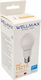 Wellmax LED Bulb 15W for E27 Socket Warm White 1521lm