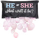 Balloon Gender Reveal