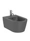 Roca Bidet suspendat gri