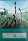 Konami Dragon Shrine Single Card