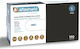 Alfashield Nitrile Gloves Powder Free in Black Color 100 Pieces