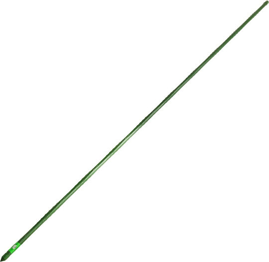 Araci Si Suporturi Plante Micul Fermier 150cm Ø8mm