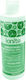 Dharma Research Dharma Research Zahnpasta Gegen Hohlräume 500ml