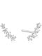 Ania Haie Earrings Studs from Silver with Stones