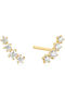 Ania Haie Gold Plated Silver Stud Earrings with Stones