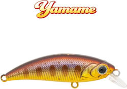 HanFishing Zipir 50kg Künstliche Köder Fisch (M...
