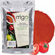 Tomato Powder 100g Migogroup