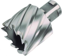 Ruko Găuri Pentru Ferăstraie HSS Tăiere Uscată Cu Diametru De La 12mm Până La 30mm Pentru Plastic
