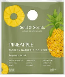 Sachet Parfumat Pentru Garderobă Soul Scents Ananas