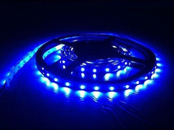Bandă LED 12V Lumină Albastră 0.127m Tip SMD3528 Bandă LED 12V Lumină Albastră 0.127m Tip SMD3528