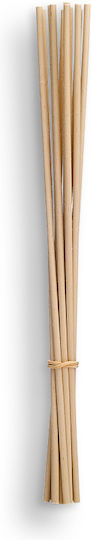 Set Diffuser Sticks 12 Stück