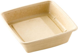 Ready Einweg-Lebensmittelbehälter aus Zuckerrohr 23x23x4cm