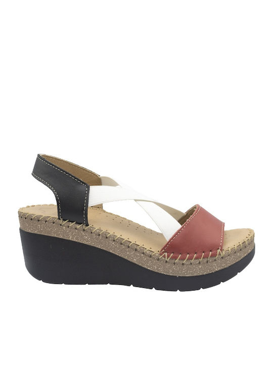 Castor Anatomic Anatomic Summer Women's Black P...