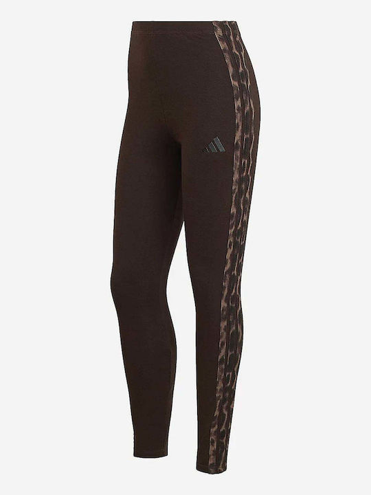 adidas Training Κολάν Leopard