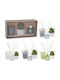 Set Cadou Parfum Lumânare Difuzor și Plantă Decorativă Bambus