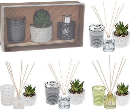 Set Cadou Parfum Lumânare Difuzor și Plantă Decorativă Bambus