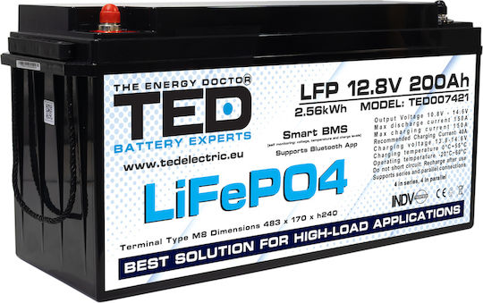 TED Electric TED007421 UPS Battery with Capacity 200Ah and Voltage 12.8V