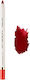 CheriUp Lip Liner Watermelon