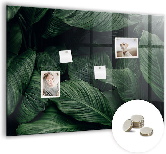 Placă Magnetică Monstru Tropical Un Magnet 100x70
